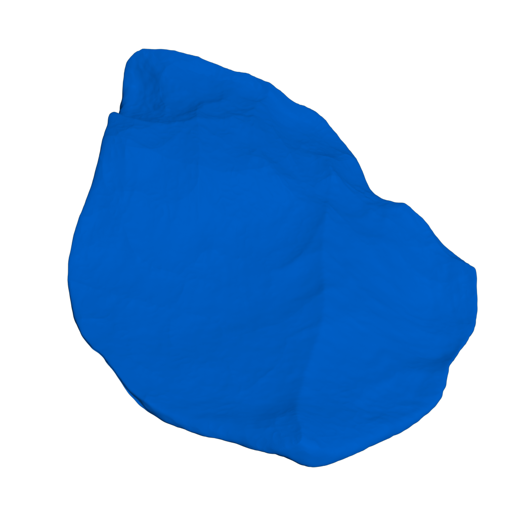Lin